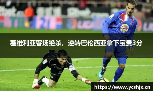 cc网投
