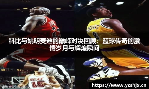 cc网投