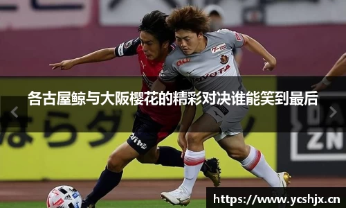cc网投平台