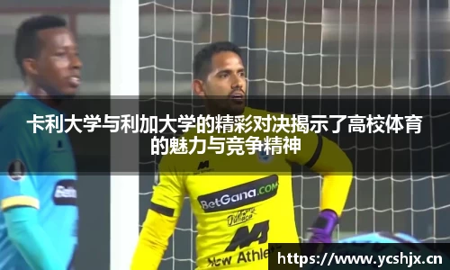 cc网投公司